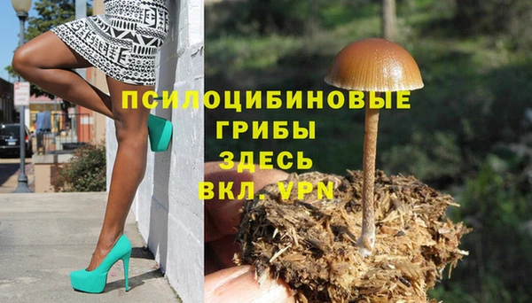 прущий лед Богородск