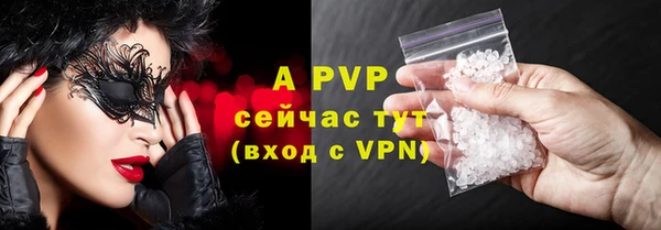 прущие грибы Россошь
