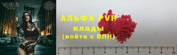 ПСИЛОЦИБИНОВЫЕ ГРИБЫ Богородицк