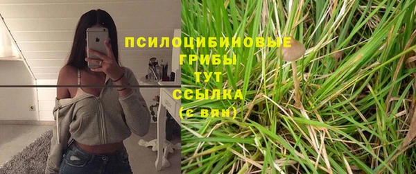 прущий лед Богородск