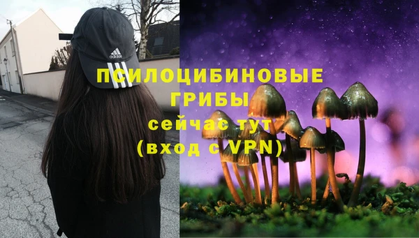 прущий лед Богородск