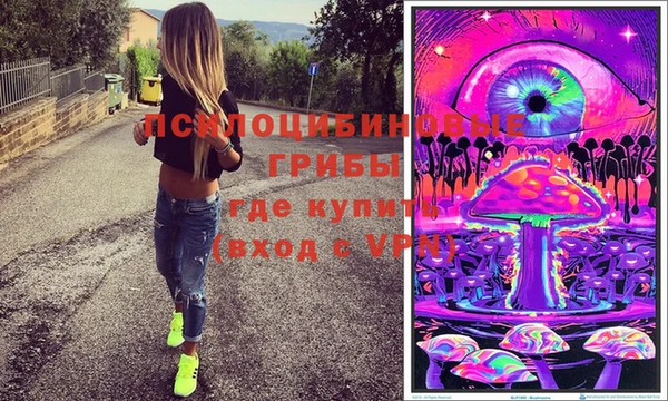 дживик Богданович