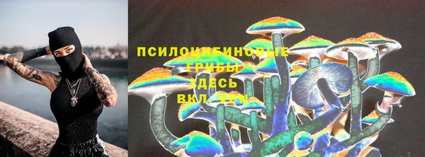 прущий лед Богородск