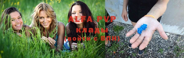 дживик Богданович