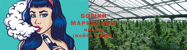 дживик Богданович