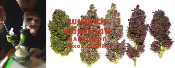 ПСИЛОЦИБИНОВЫЕ ГРИБЫ Богородицк